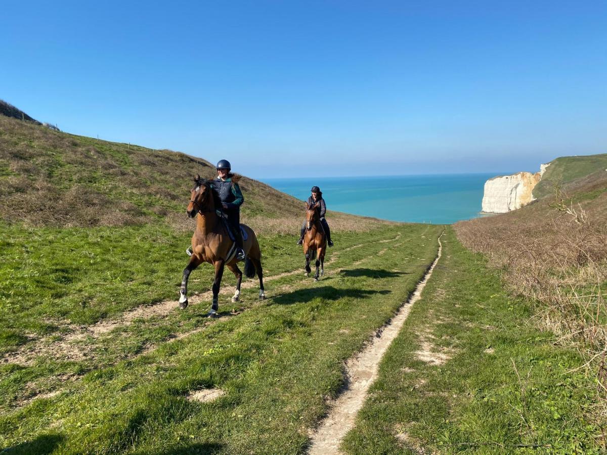 לינה וארוחת בוקר Le Tilleul Domaine Equestre Etretat מראה חיצוני תמונה